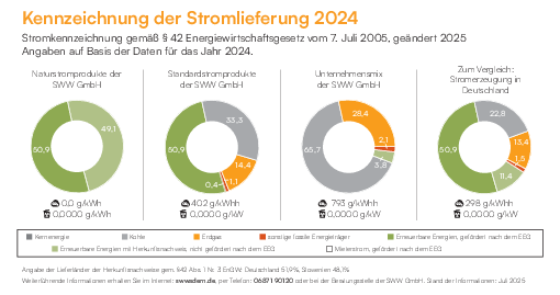 Energietraegermix2024_SWW_0825